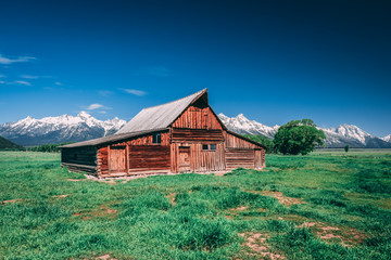 Fototapeta premium Mormon Row