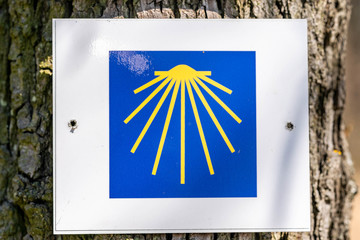 yellow shell on blue background symbol for the Way of St. James photographed on a hiking trail to rotenfels
