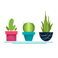 Stock vector illustration set of cacti in flowerpots