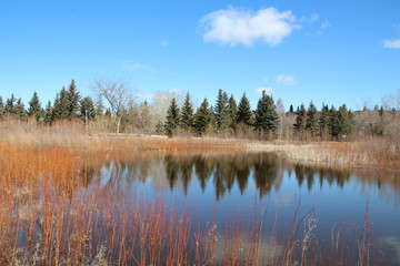 Spring Reflections On The Lake, Gold Bar Park, Edmonton, Alberta