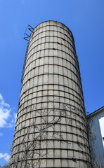 vintage grain silo