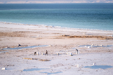 Traditional harvest of the salt in Lake Assal