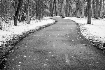 empty winding walking path through the woods