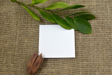 
green branch and white sheet of paper with place for text on a background of linen. Flat lay