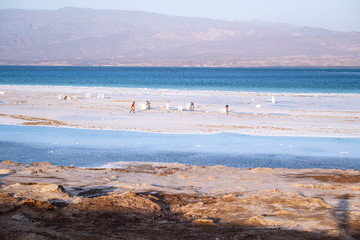 Traditional harvest of the salt in Lake Assal