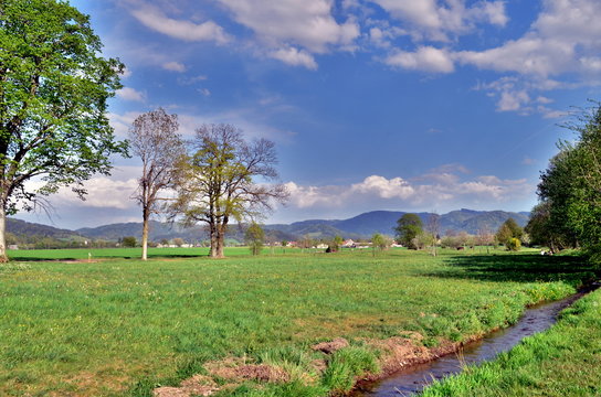 Gr&uuml;ne Wiesen im Dreisamtal bei Freiburg