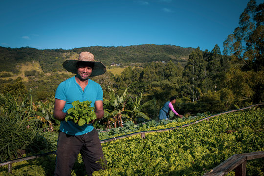 Proud organic farmer man from a quilombola community 