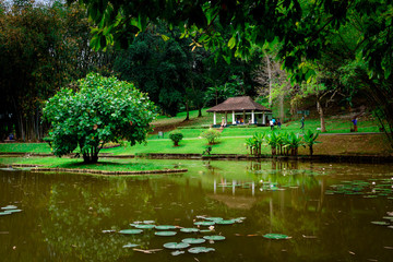 Obraz premium Royal Botanical Gardens, Peradeniya, Kandy, Sri Lanka
