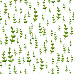 Delicate hand drawn pattern with grass, leaves and branches. Marker / Watercolor illustration