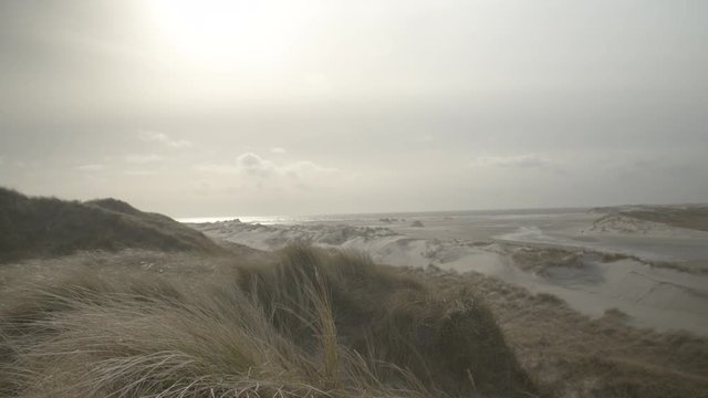 Sea view from the dunes