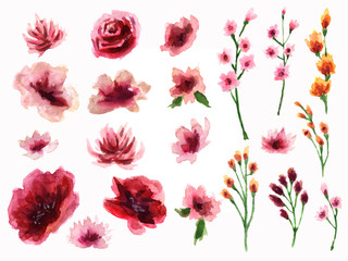 Fototapeta premium illustration of flowers in watercolor