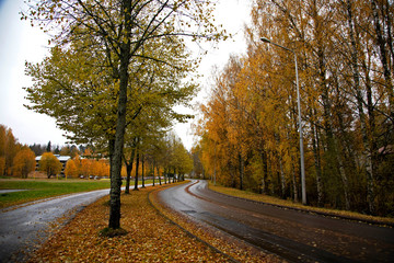 beautiful city landscape in Autumn 