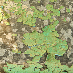 Background. A fragment of the iron surface is covered with old turquoise paint that has long been on it