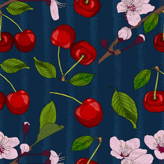 Cherry hand drawn seamless pattern in vintage style. Botanical wrapping paper, textile, background. Fruit in engraving style. Vector illustration