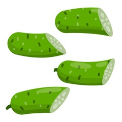 Cucumber. Slice of Green fresh vegetable. Harvesting and healthy food. Set of Element of vegetarian food. Cartoon flat illustration