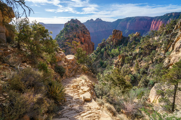 Fototapeta na wymiar hiking the grandview trail at the south rim of grand canyon in arizona,usa