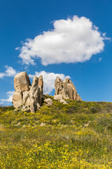 Spring in Cappadocia, Turkey.