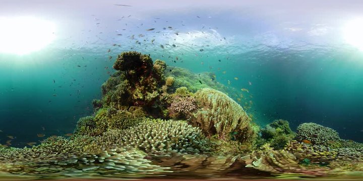 Tropical coral reef seascape with fishes, hard and soft corals. Underwater video. Camiguin, Philippines.