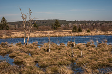 Moor Eifel Hohes Venn