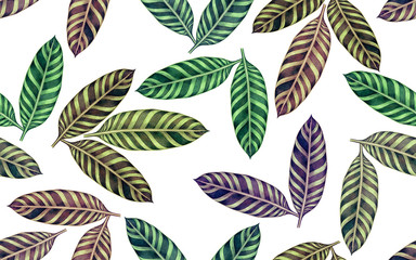 Fototapeta premium Watercolor painting colorful tropical leaf,green leave seamless pattern background.Watercolor hand drawn illustration tropical exotic leaf prints for wallpaper,textile Hawaii aloha summer style..