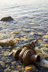 Fototapete bei efototapeten.de bestellen   