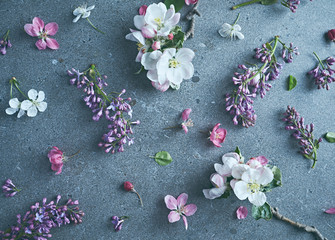 Spring blossoms on gray stone background. Flat lay