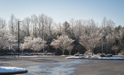 Empty parking lot surrounded with trees covered with snow