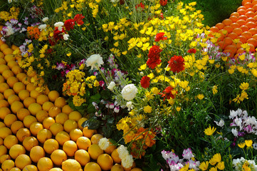 Bioves gardens in Menton during the lemon festival in February 2020.