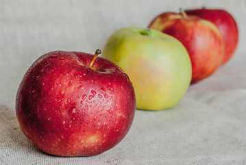 red and yellow  apples covered with water drops as background. Red green apples group isolated. Raw Red Organic Honeycrisp Apples. 
apple still life on a light linen natural background
