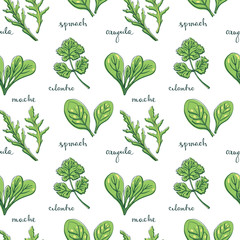 Seamless pattern with herbs and salad leaves and flowers: spinach, arugula, mache, coriander/ Hand drawn colorful background/ Vector illustration