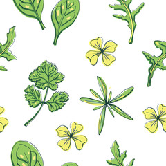 Seamless pattern with herbs and salad leaves and flowers: spinach, arugula, tarragon, coriander/ Hand drawn colorful background/ Vector illustration