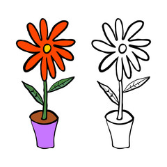 Cartoon doodle flower with leaves in pot isolated on white background. Vector illustration. 