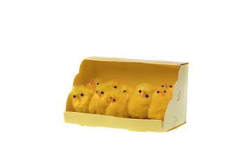 Yellow small chickens for easter decoration, isolated on white background