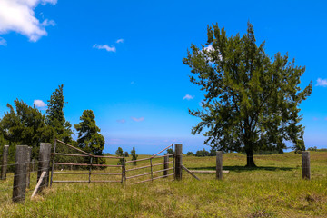 rural landscape with fence