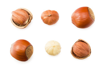 hazelnuts isolated on a white background. top view
