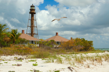 Sanibel Island Lighthouse and Seagull © Ken Remsen's Photos