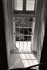 Black and White Window