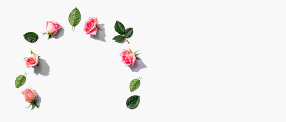 Pink roses with green leaves overhead view - flat lay