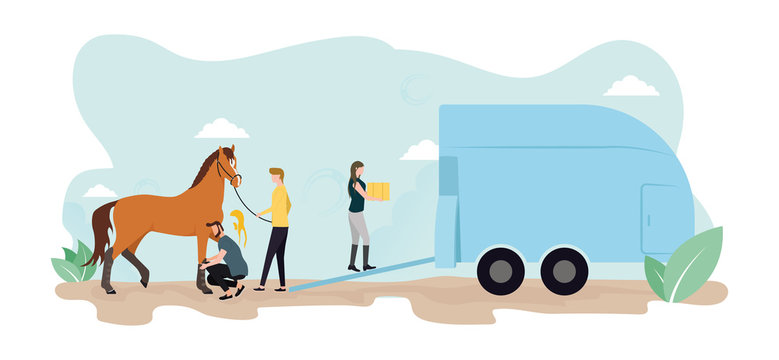 Horse transportation. A man drives a horse into a horse trailer, a man puts on a leg, a woman carries a box