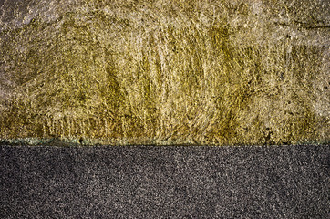 House facade covered with dirty moss