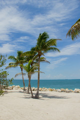 Playa y palmeras en Fort Taylor Beach, Key West