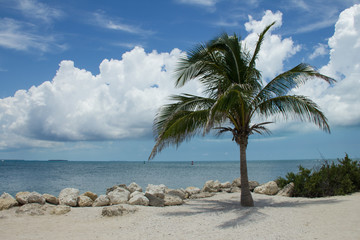 Playa y palmeras en Fort Taylor Beach, Key West