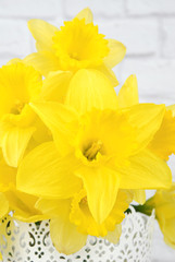 Yellow daffodil flowers in a white vase isolated on a white brick background