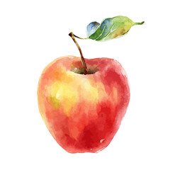 Watercolor red yellow apple on white background