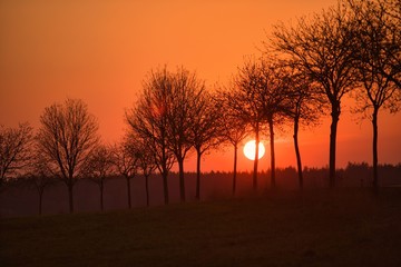 sunset in the oremountains