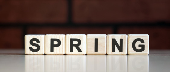 SPRING - nice concept on on a dark brick background. Wooden cubes with text