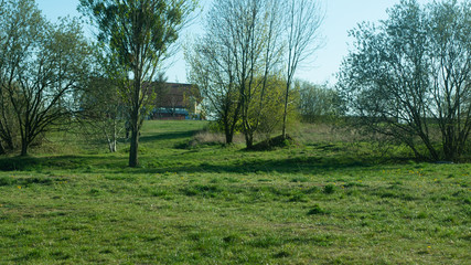 Drzewa i krzewy  w promieniach słońca © Bernadeta