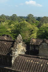 Fototapeta na wymiar Angkor Wat roofs and forest, Siem Reap, Cambodia