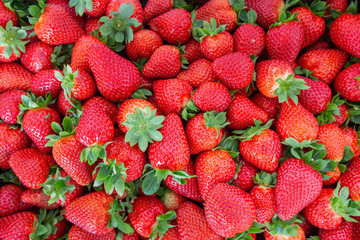 Fresh Strawberries fruits close up background, species Fragaria ananassa cultivated worldwide and a...