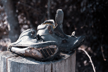 Alter Wanderschuhe Baumstumpf Moos Wald Baum ausgetreten Laub